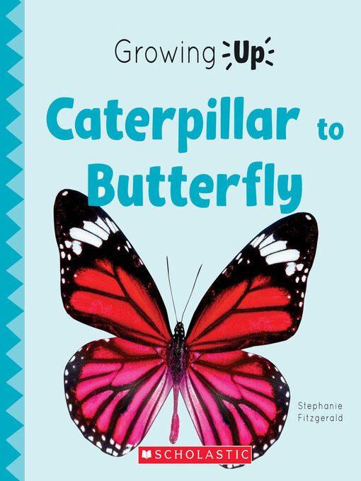 Title details for Caterpillar to Butterfly by Stephanie Fitzgerald - Wait list